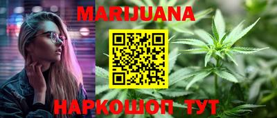 сатива Будённовск